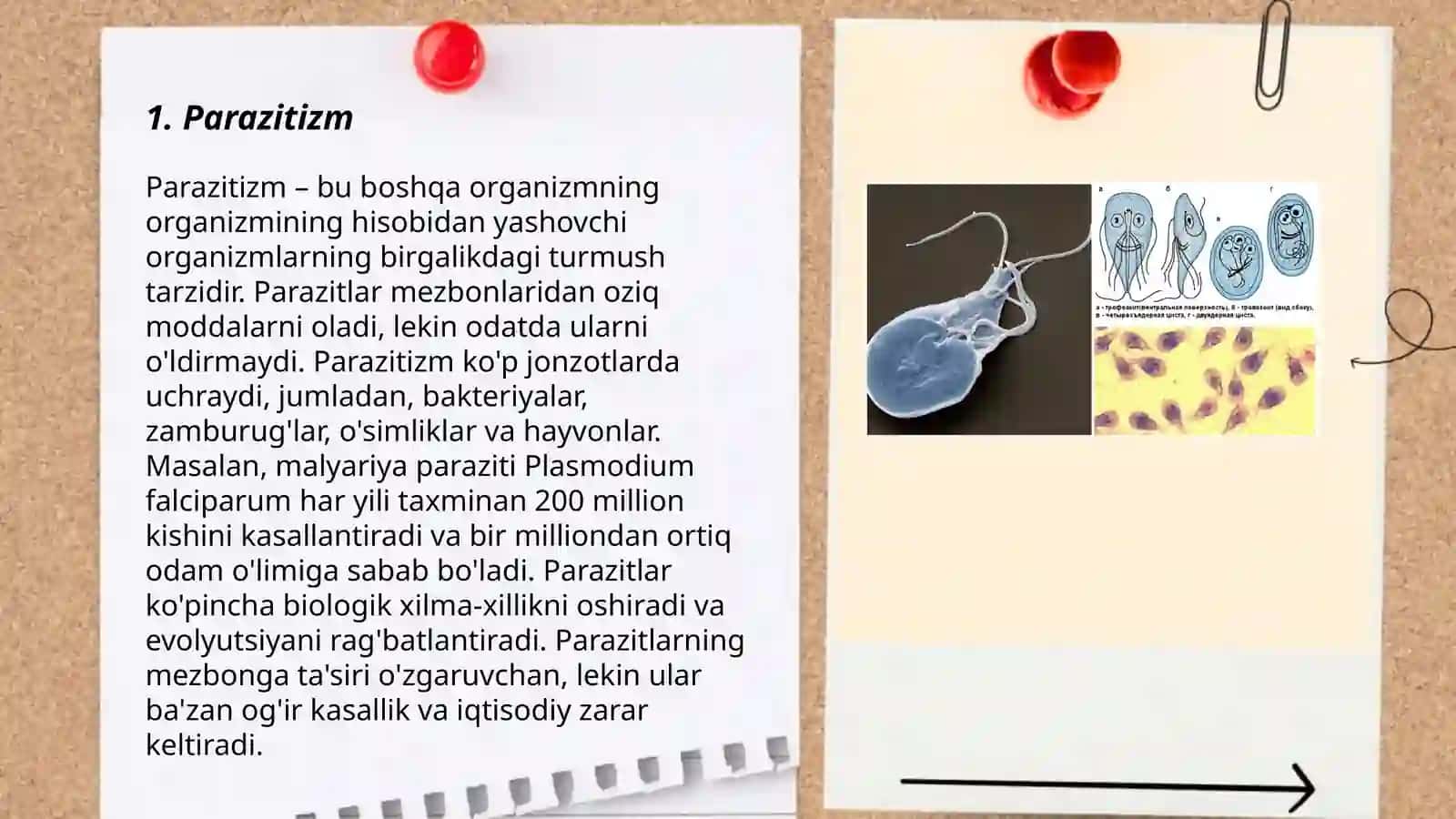 Parazitalogiya atamalari 3