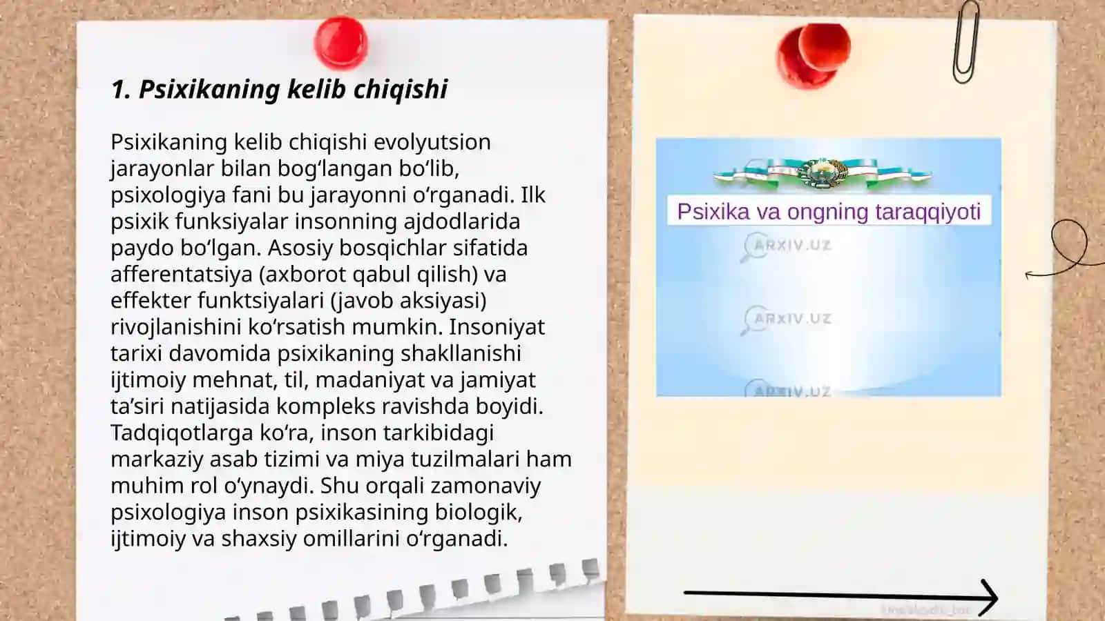 Psixikaning filogenetik taraqqiyoti 3