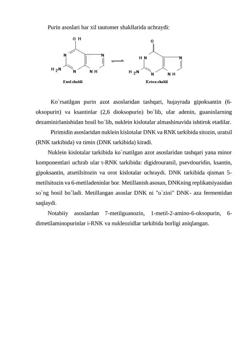 Nuklein kislotalar 3