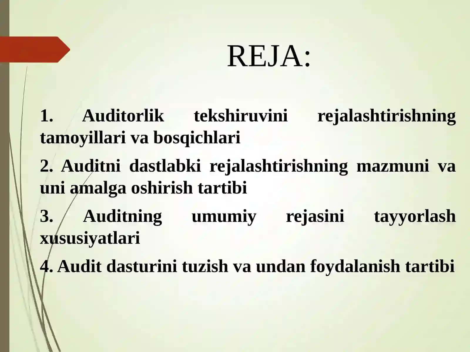 AUDITORLIK TEKSHIRUVINI REJALASHTIRISH 3