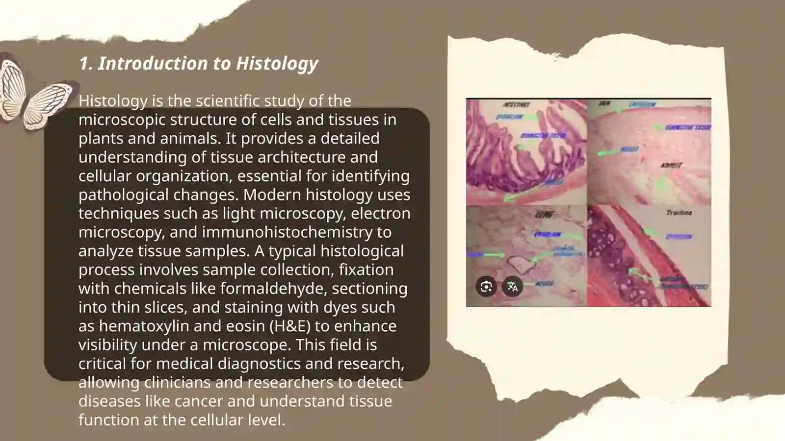 Histology 3