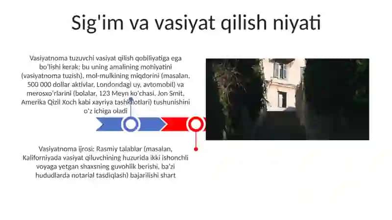 Vasiyatnoma 3