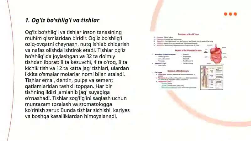 Og'iz bo'shlig'i va tishlar 3