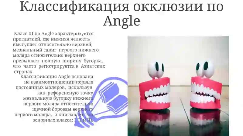 Артикуляция. Виды окклюзии. 3