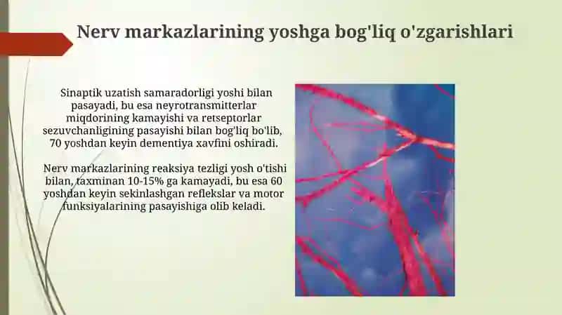 Asab markazlari xossalari 3