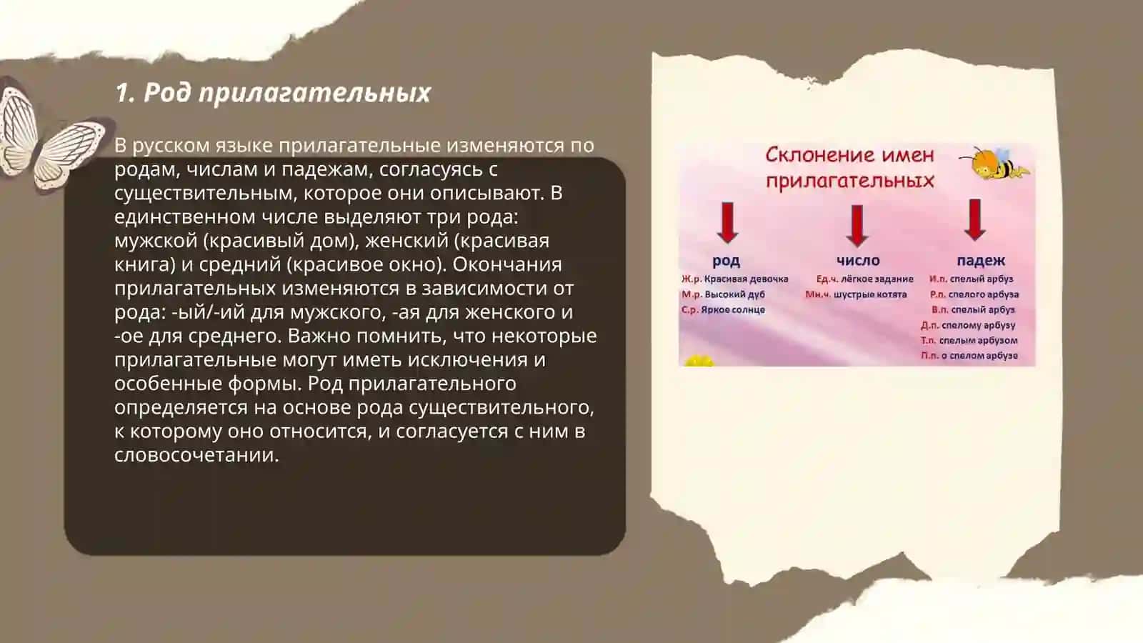 Qo‘chqorova Gulmira 3