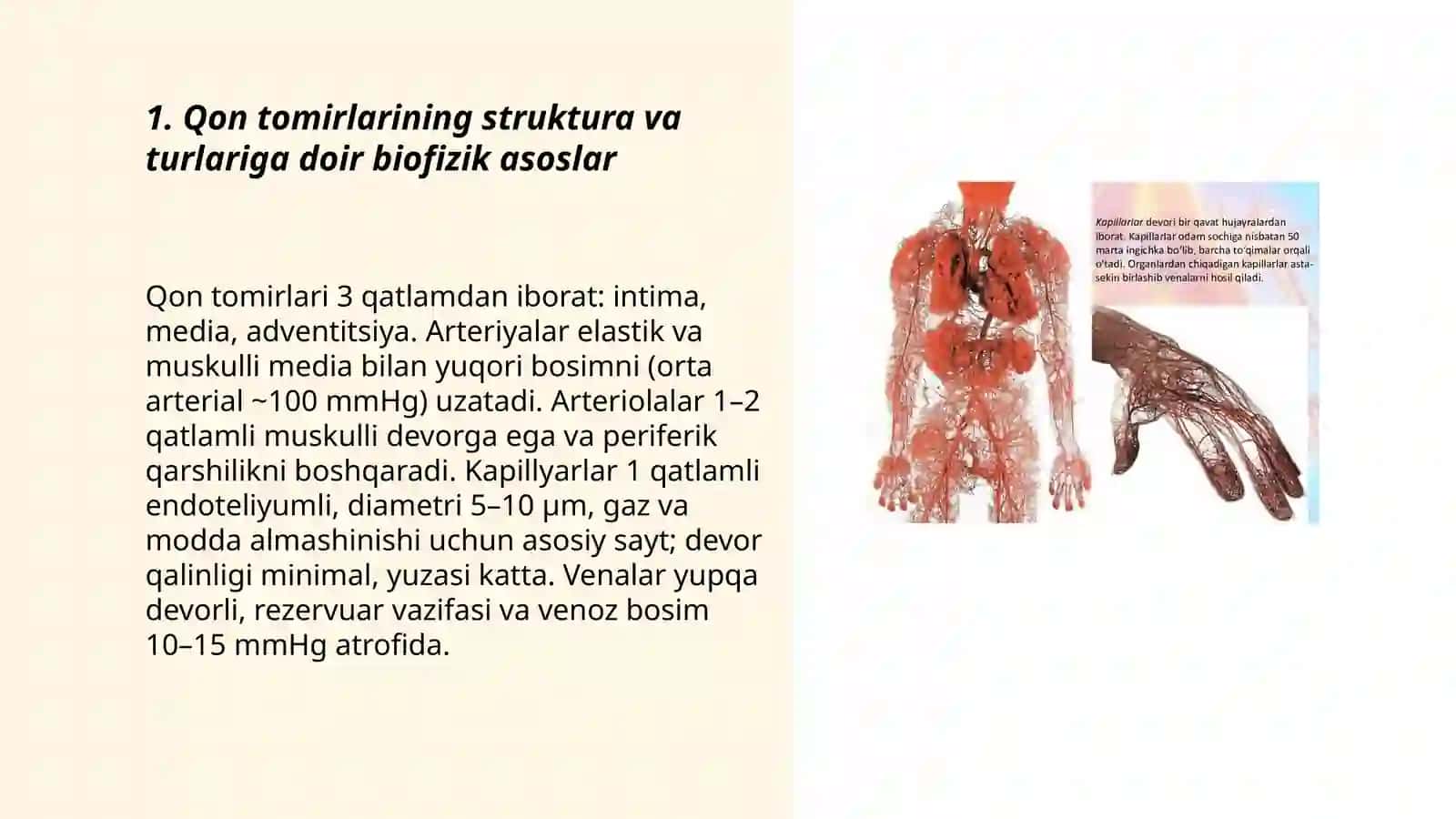 Qon tomirlari orqali moddalar almashishining biofizikaviy mexanizmi 3