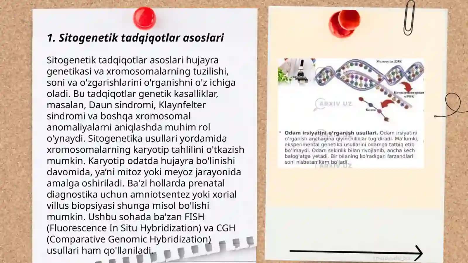 Odam genetikasi: sitogenetik metod 3