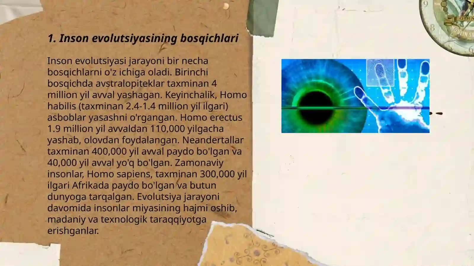 Inson evolutsiyasi 3