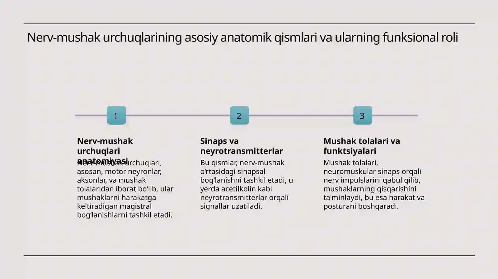 Nerv-mushak urchuqlarining tuzilishi va ishlash prinsipi 3