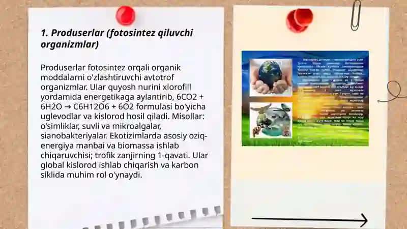 Organizmlarning ekoligik guruhlari 3