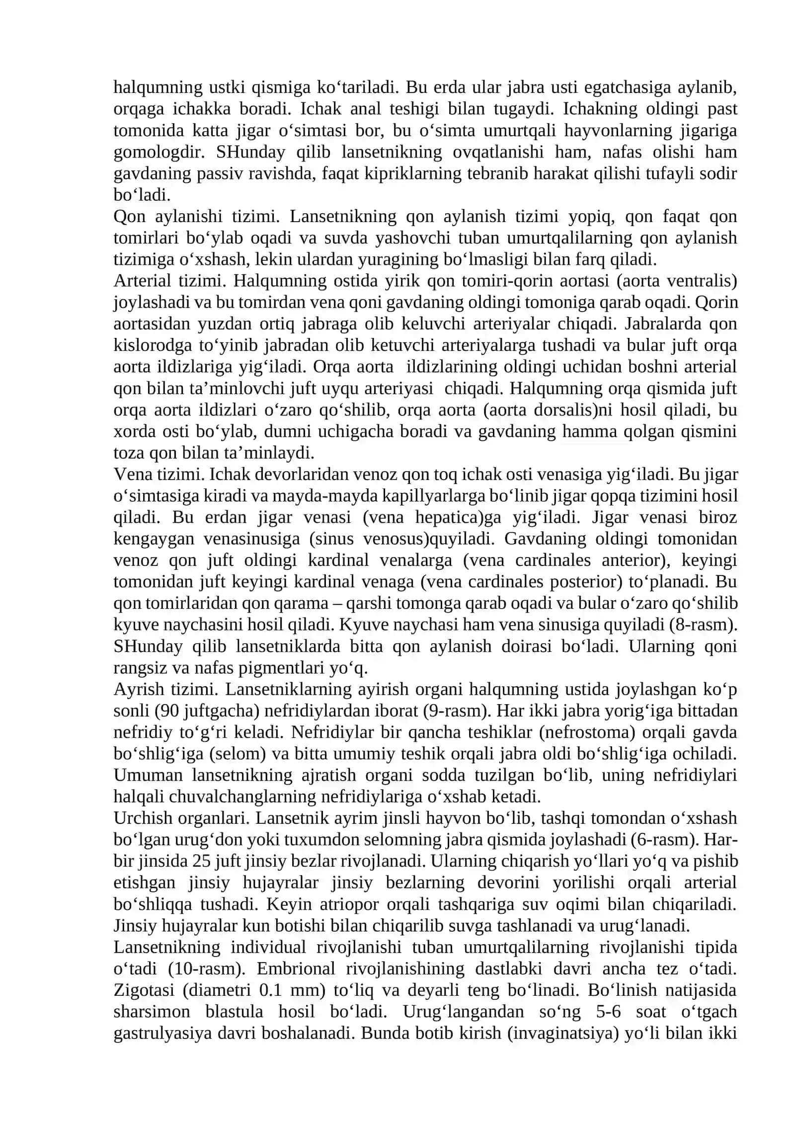 Bosh skeletsizlar kenja tipi – Aerania 3