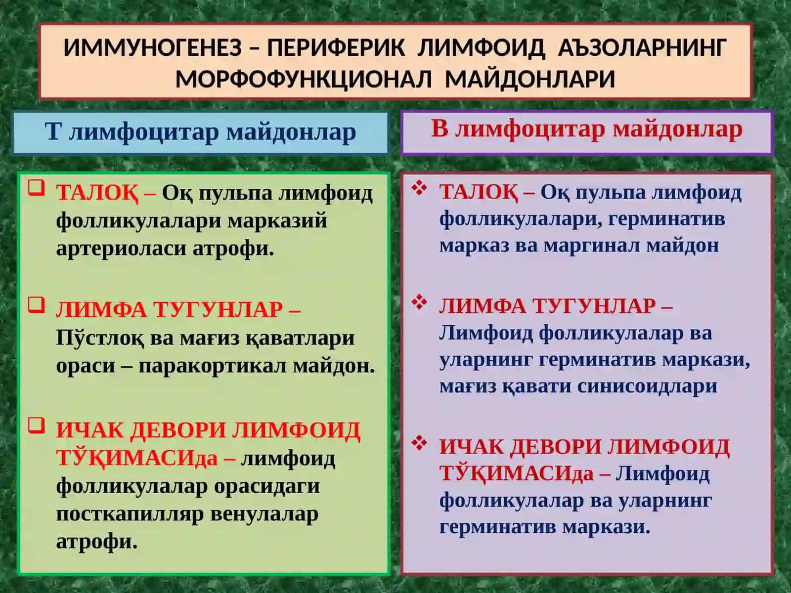 ИММУНОПАТОЛОГИК ЖАРАЁНЛАР 3