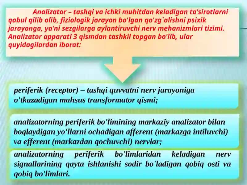 Sezgi 3