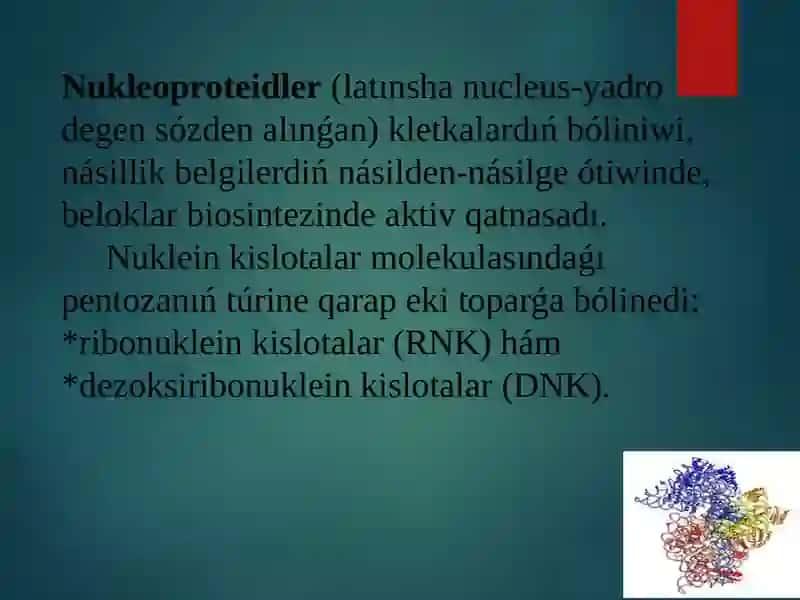 Nuklein kislotaları bioximiyası 3