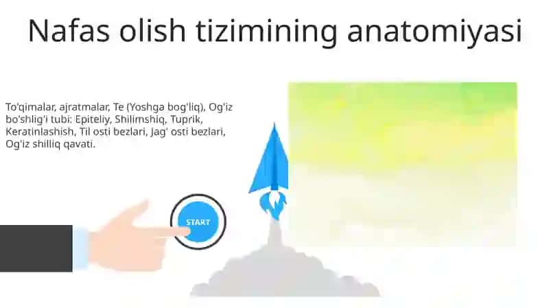 Nafaas olish & Yuqori Tana Anatomiyasi 3