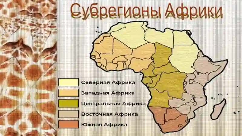AFRIKA SUBREGIONLARI 3