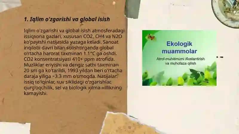 Global ekologik muammolar 3