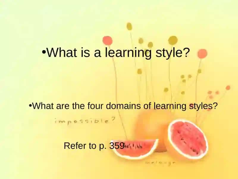 Language Learning Styles and Strategies 3