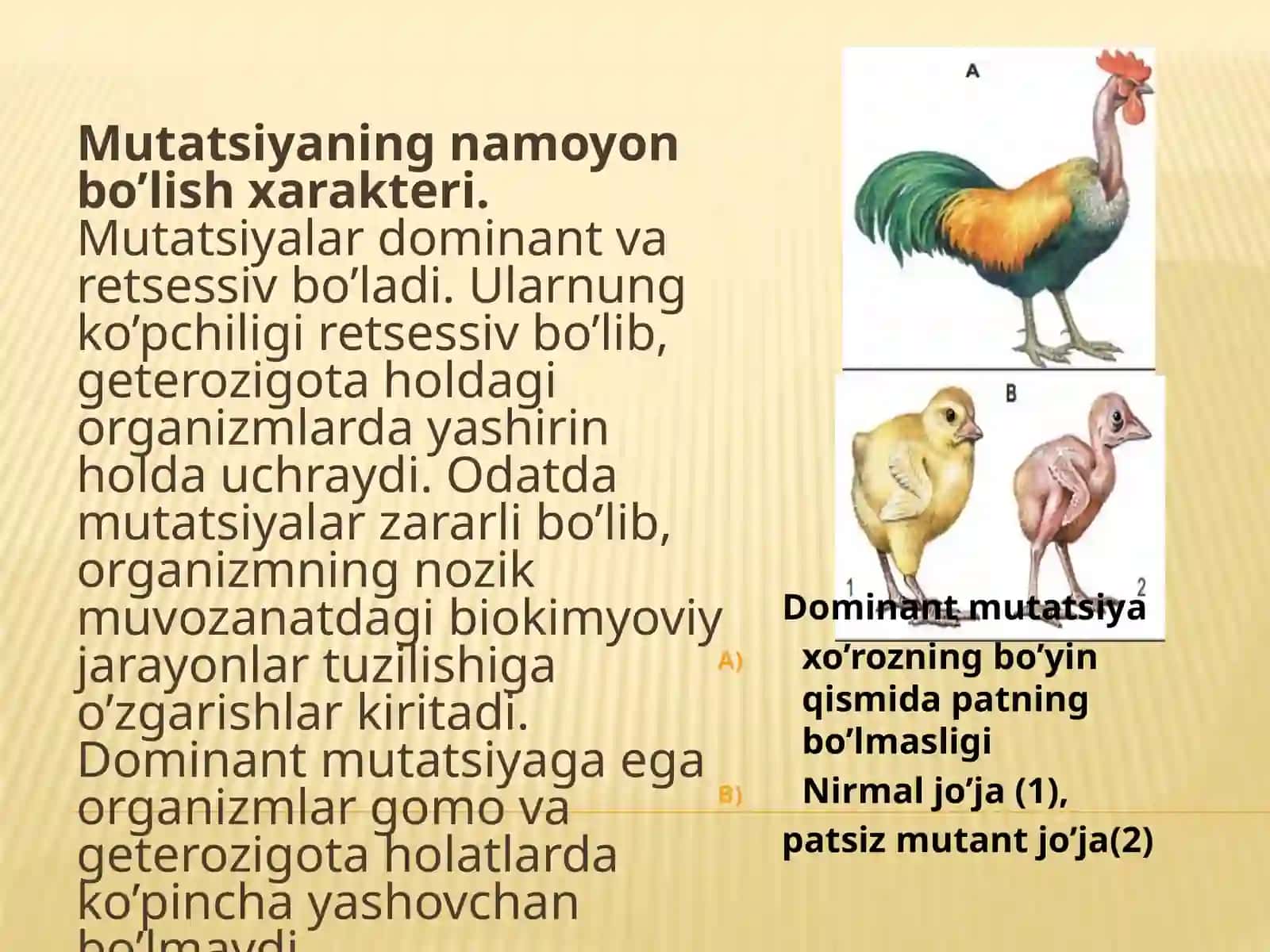 Mutatsiya (genetik) o'zgarishlar 3