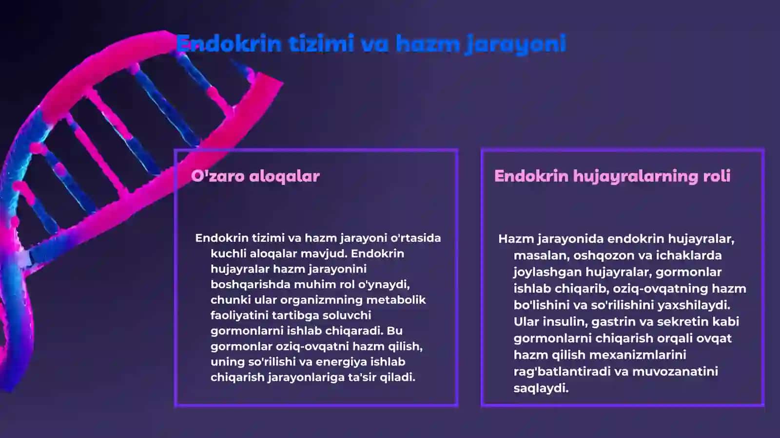 Endokrin Tizim va Hazm Jarayoni 3