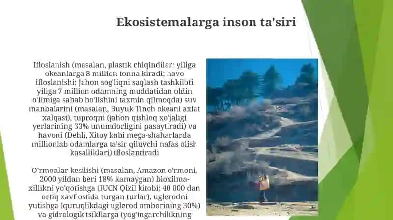 Inson va tabiiy landshaftlar 3