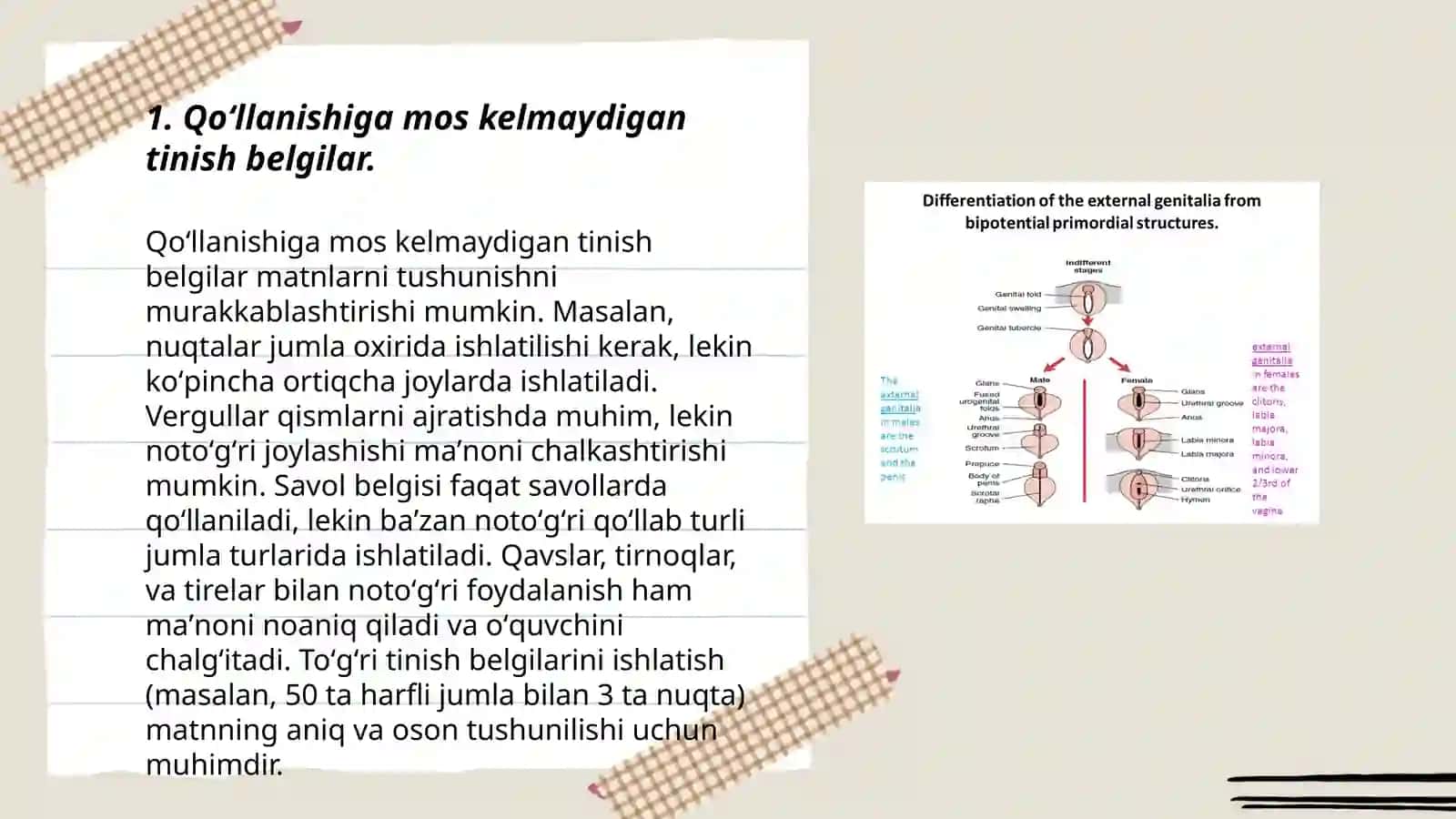 Tinish belgilarining qoʻllanishi bilan bogʻliq uslubiy xatolar va ular haqida umumiy mulohazalar 3