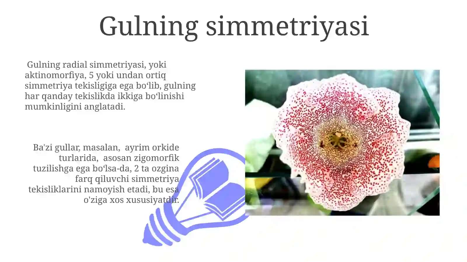 Toʻpgullar.Ularning tuzilishi va tiplari 3