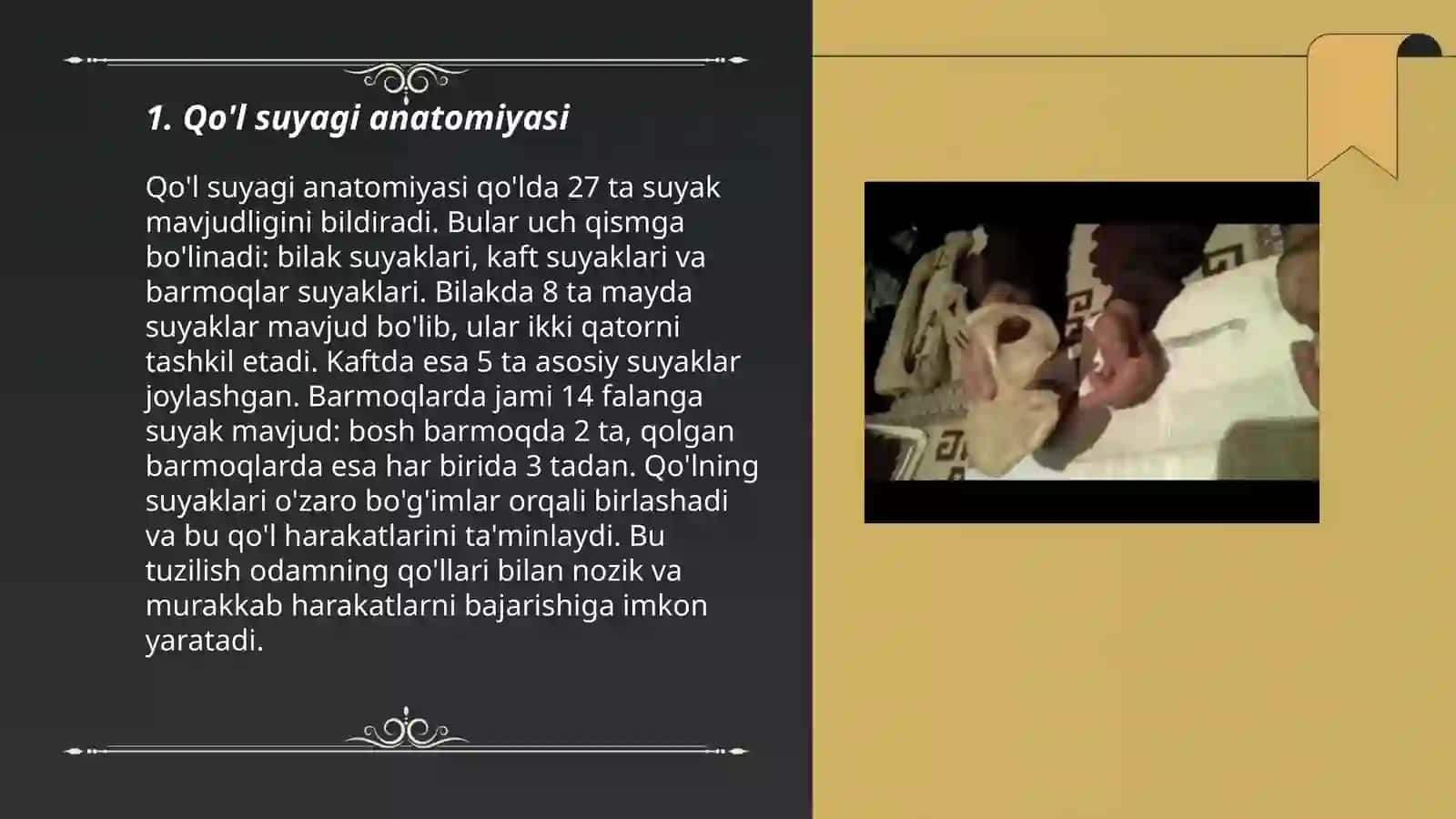 Qol suyaklari 3