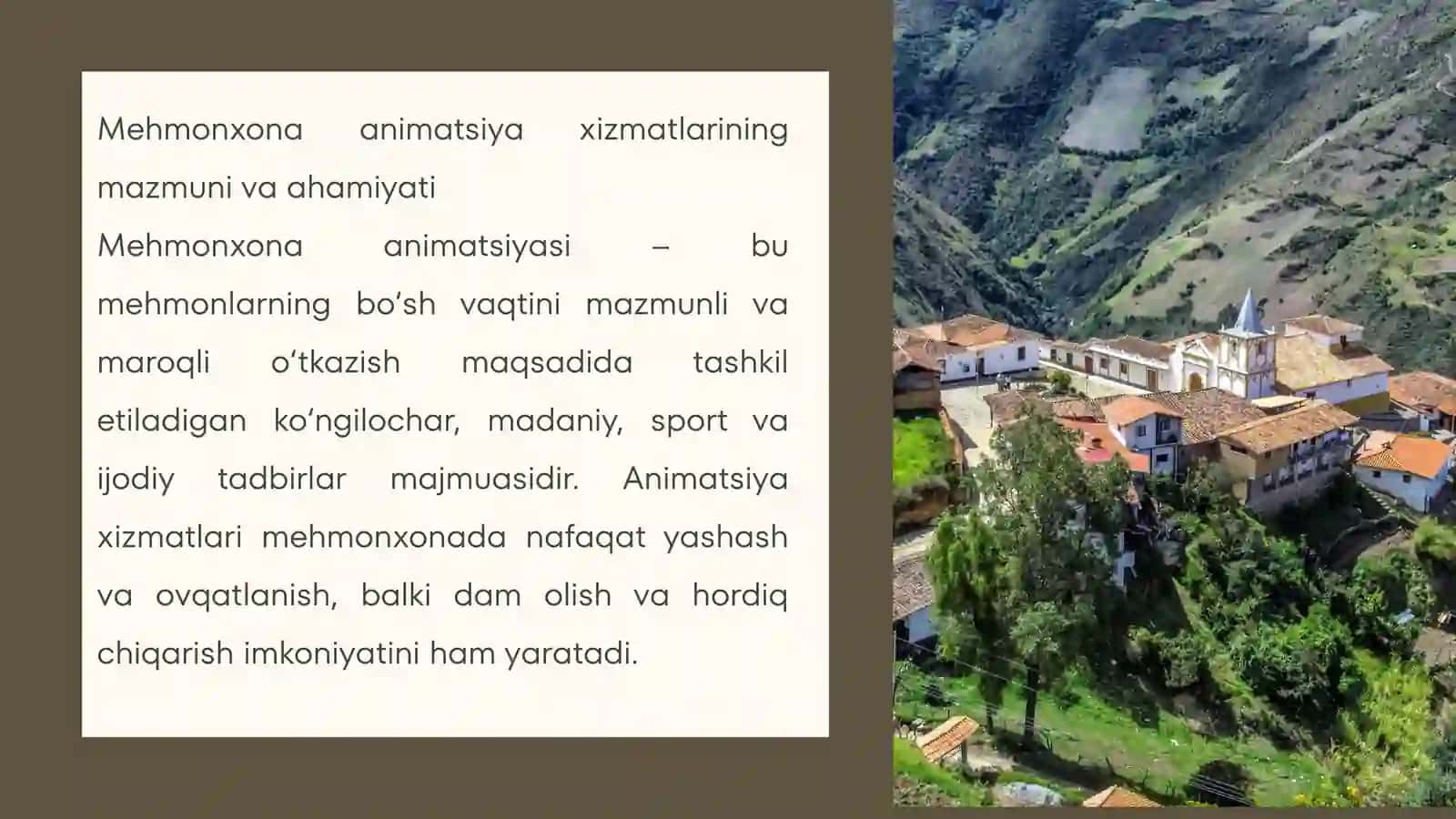 Mehmonxona animatsiya xizmatlari 3