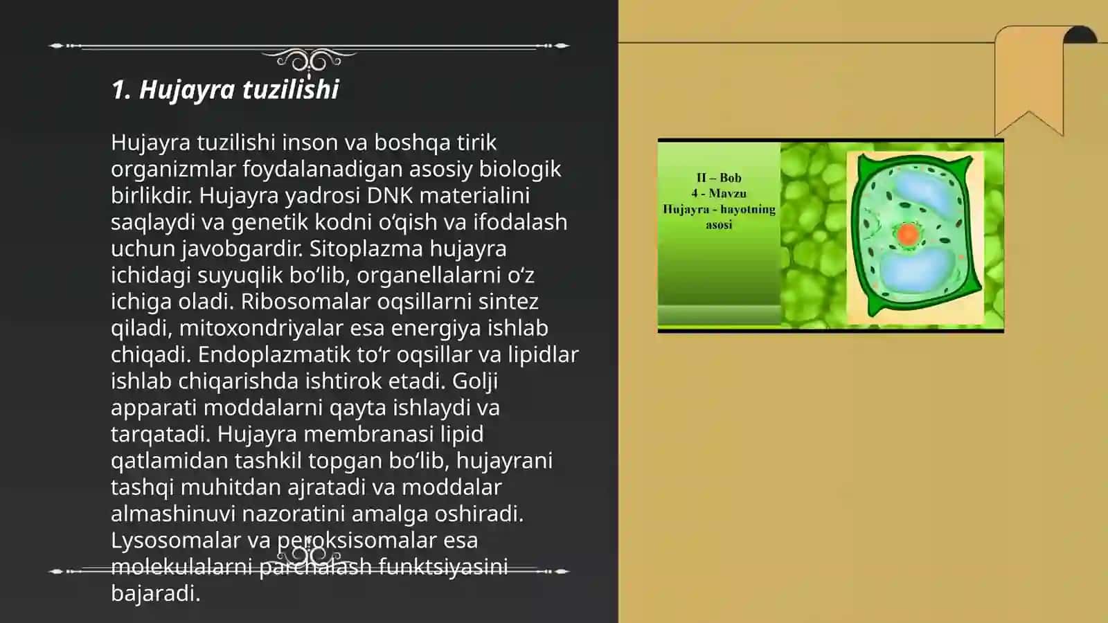 Hujayra evolyutsiyasi 3