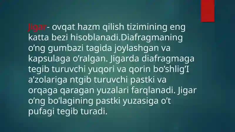 Jigar va o't yollari anatomiyasi va gistologiyasi 3