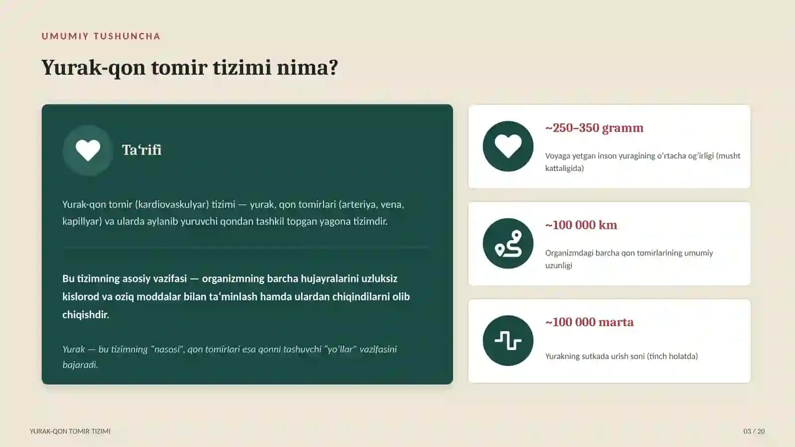 TIBBIYOT TEXNIKUMI yurak qon tomir tizimi 3