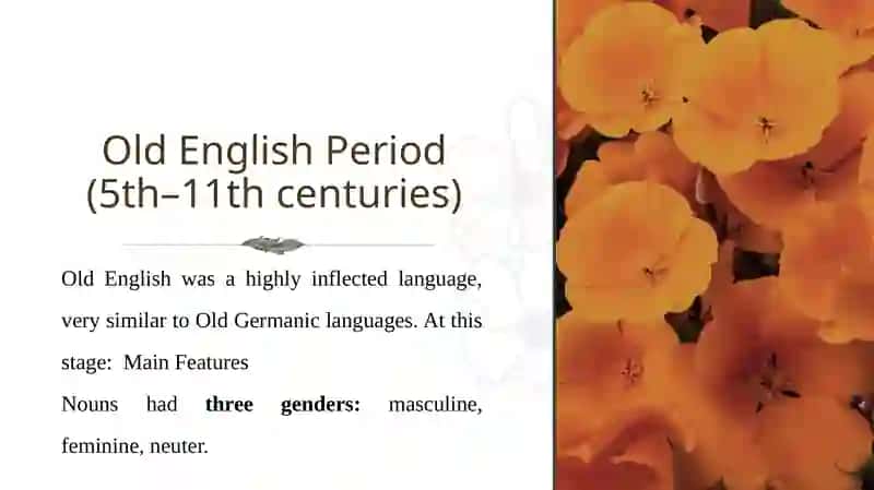 The Historical Development of Noun Declensions 3