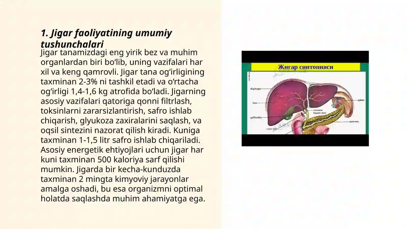 Jigar faoliyati, o't safro fiziologiyadi 3