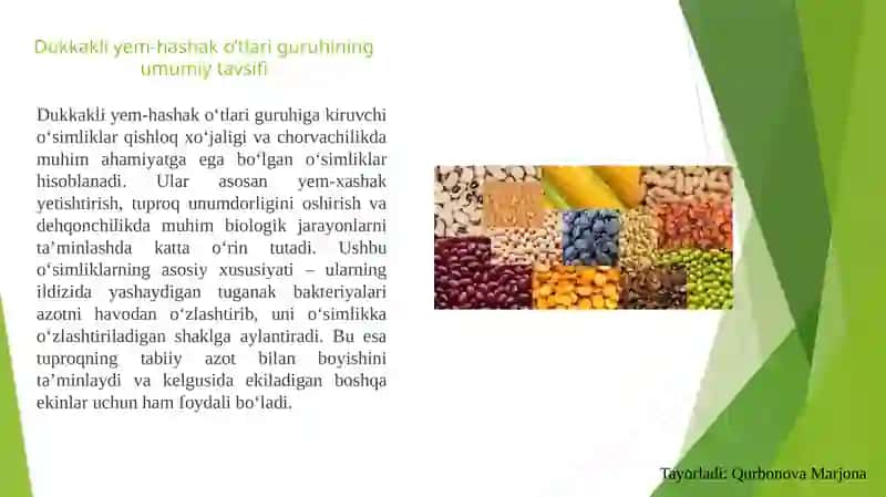 Dukkakliyem-hashako‘tlari guruhining umumiy tavsifi 3