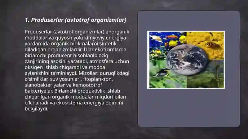 Produserlar (avtotrof organizmlar) 3