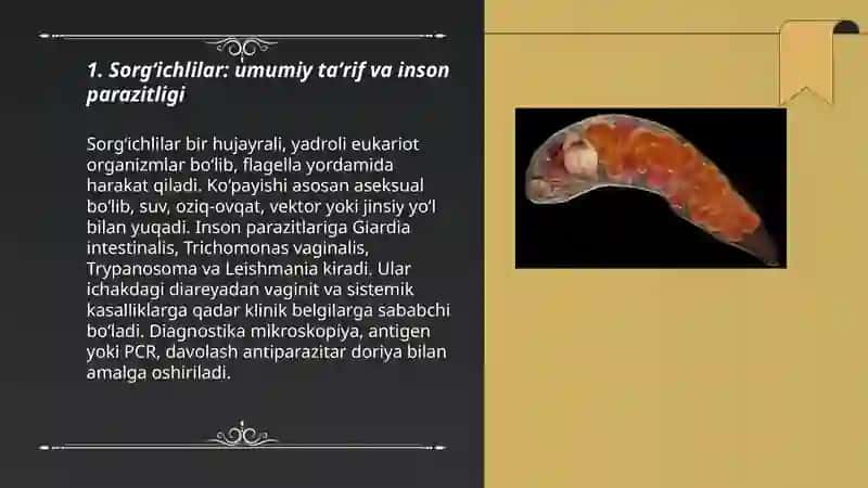 Sorgʻichlilar odam parazitlari 3