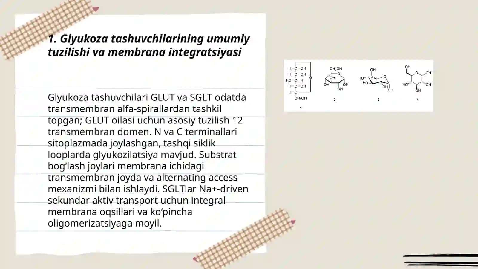 Glyukoza tashuvchilari 3