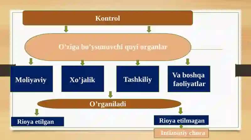 MA’MURIY NAZORAT 3