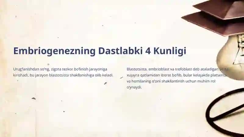Inson Embriogenezining Qaltis Davrlari 3