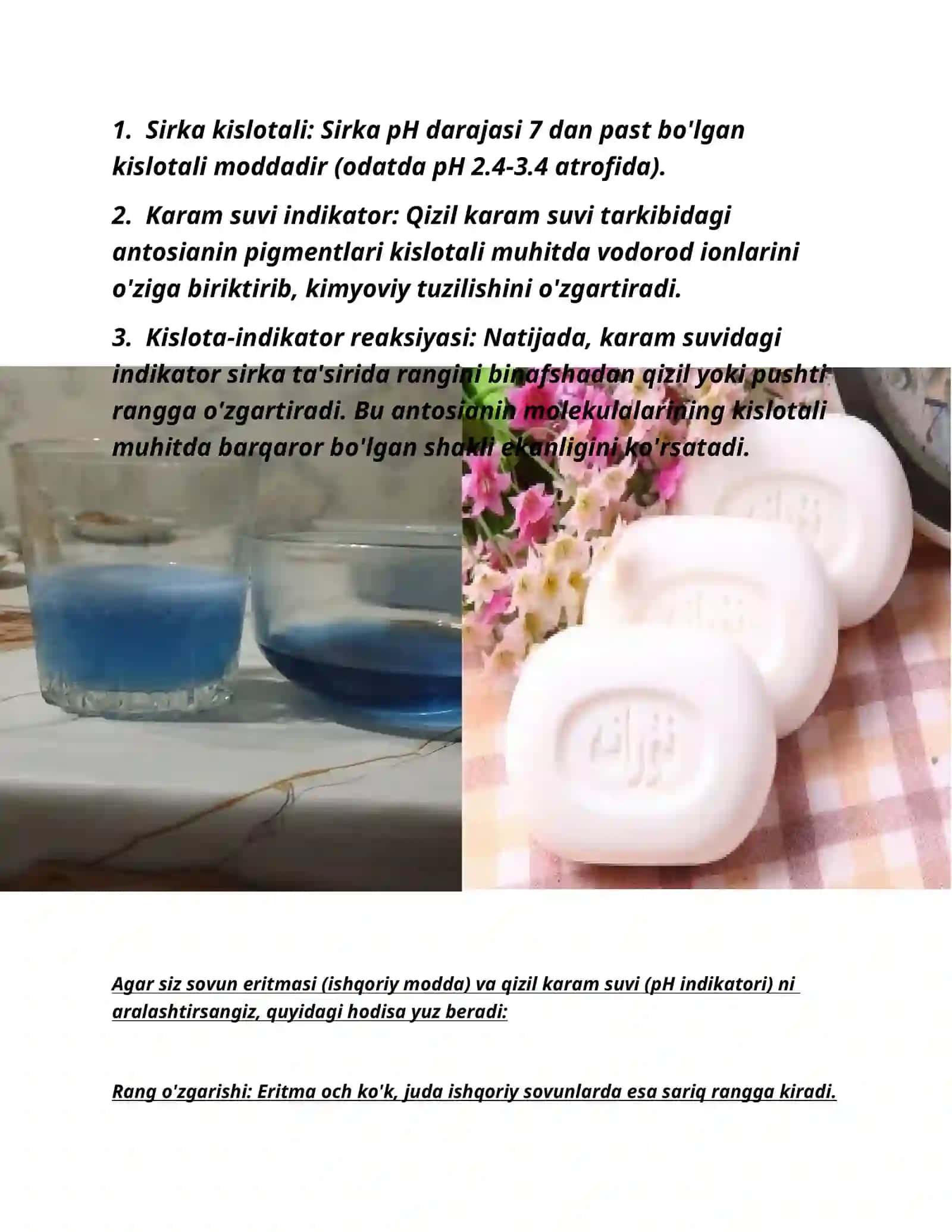 Qizil karam indikatorining ishlash prinsipi 3