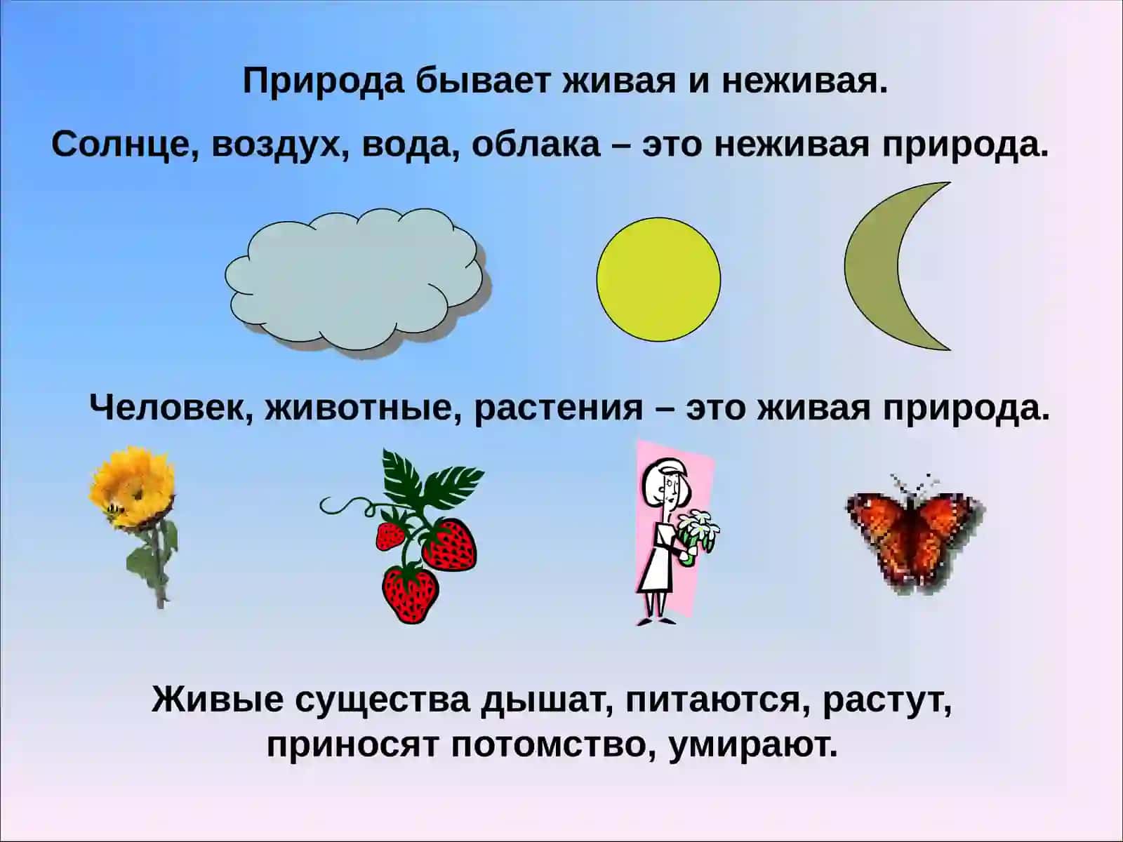 Природа 3