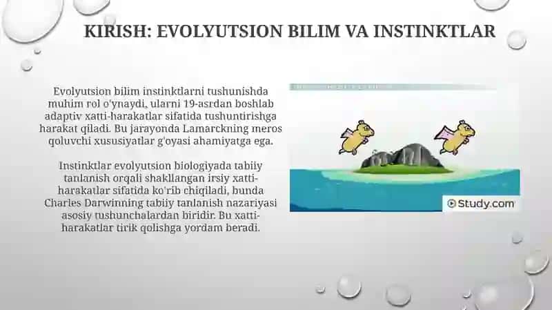 Evolyutsion bilimlar nuqtai nazaridan instinklarni o'rganish 3