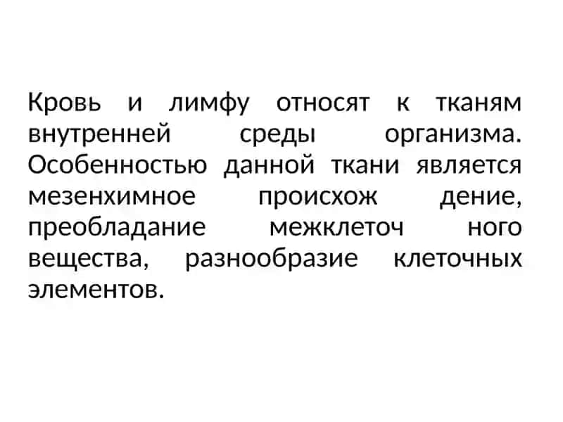 Ткани внутренней среды. Кровь. Гемопоэз 3