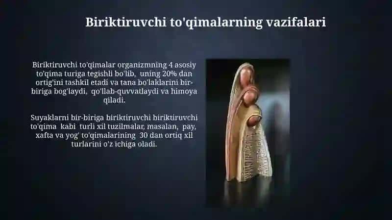 Muskul to'qimasi 3