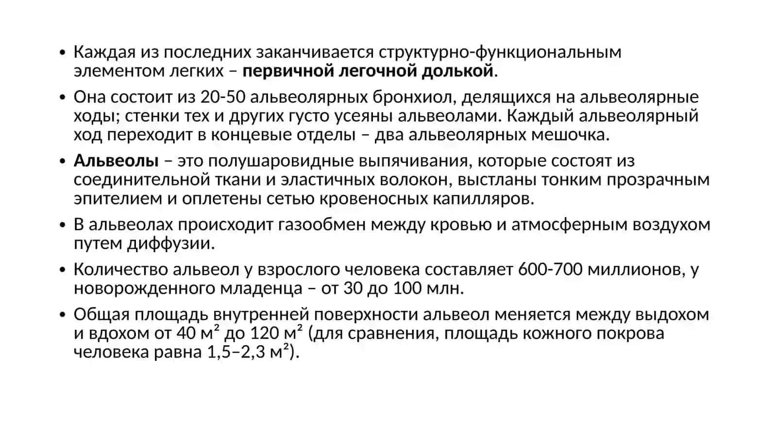 Лёгкие. Строение и функции 3