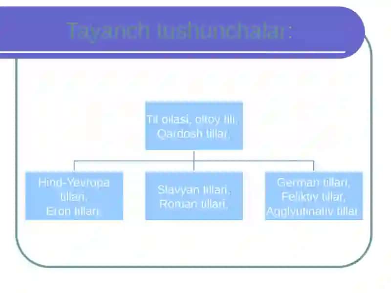 TILLARNI TASNIFLASH ASOSLARI 3