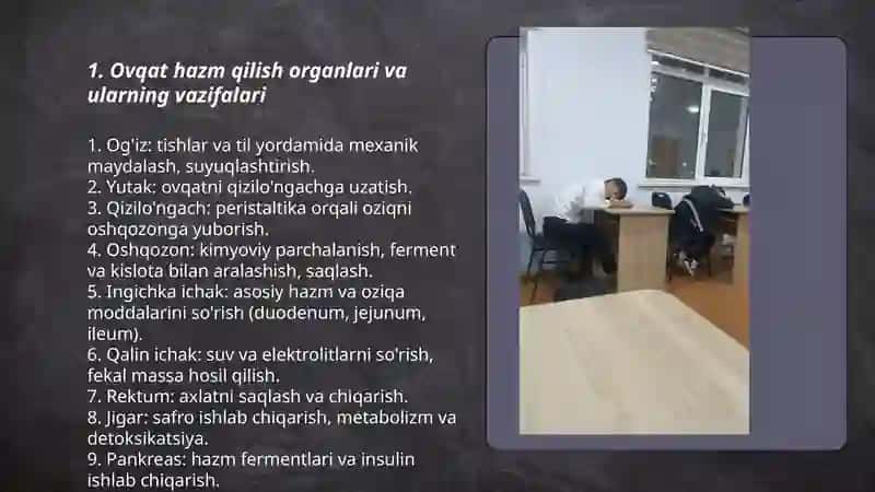 Ovqat hazm qilish 3
