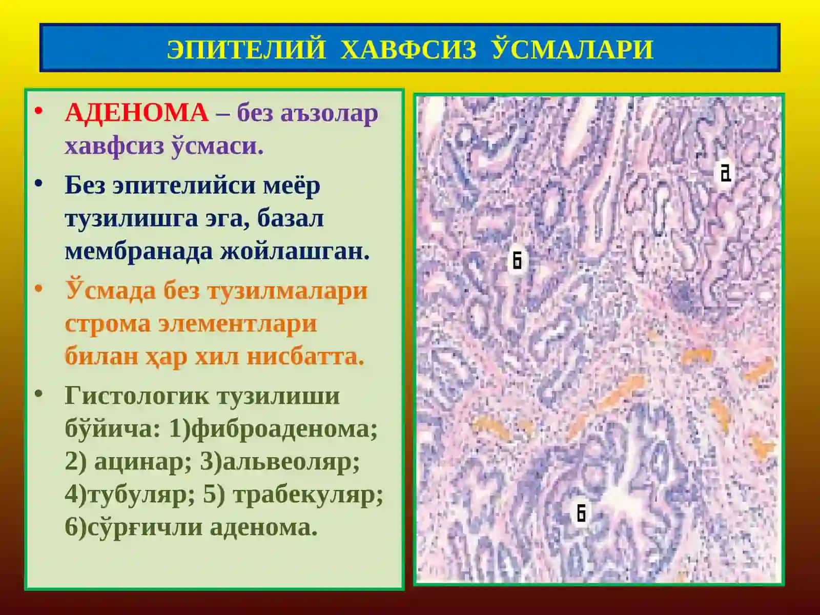 ПАТОЛОГИК АНАТОМИЯ 3